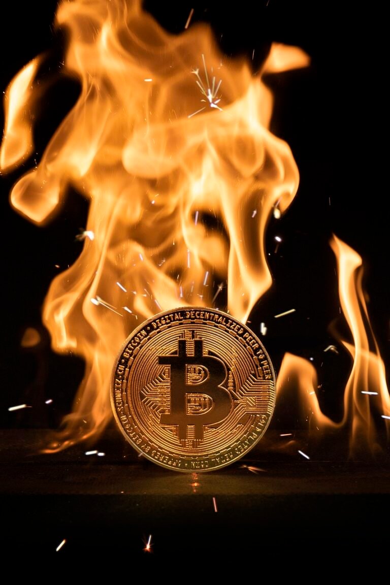 bitcoin, coin, flame, icon, symbol, logo, fire, burning, bitcoin logo, currency, cryptocurrency, bitcoin, bitcoin, bitcoin, bitcoin, bitcoin, bitcoin logo, cryptocurrency