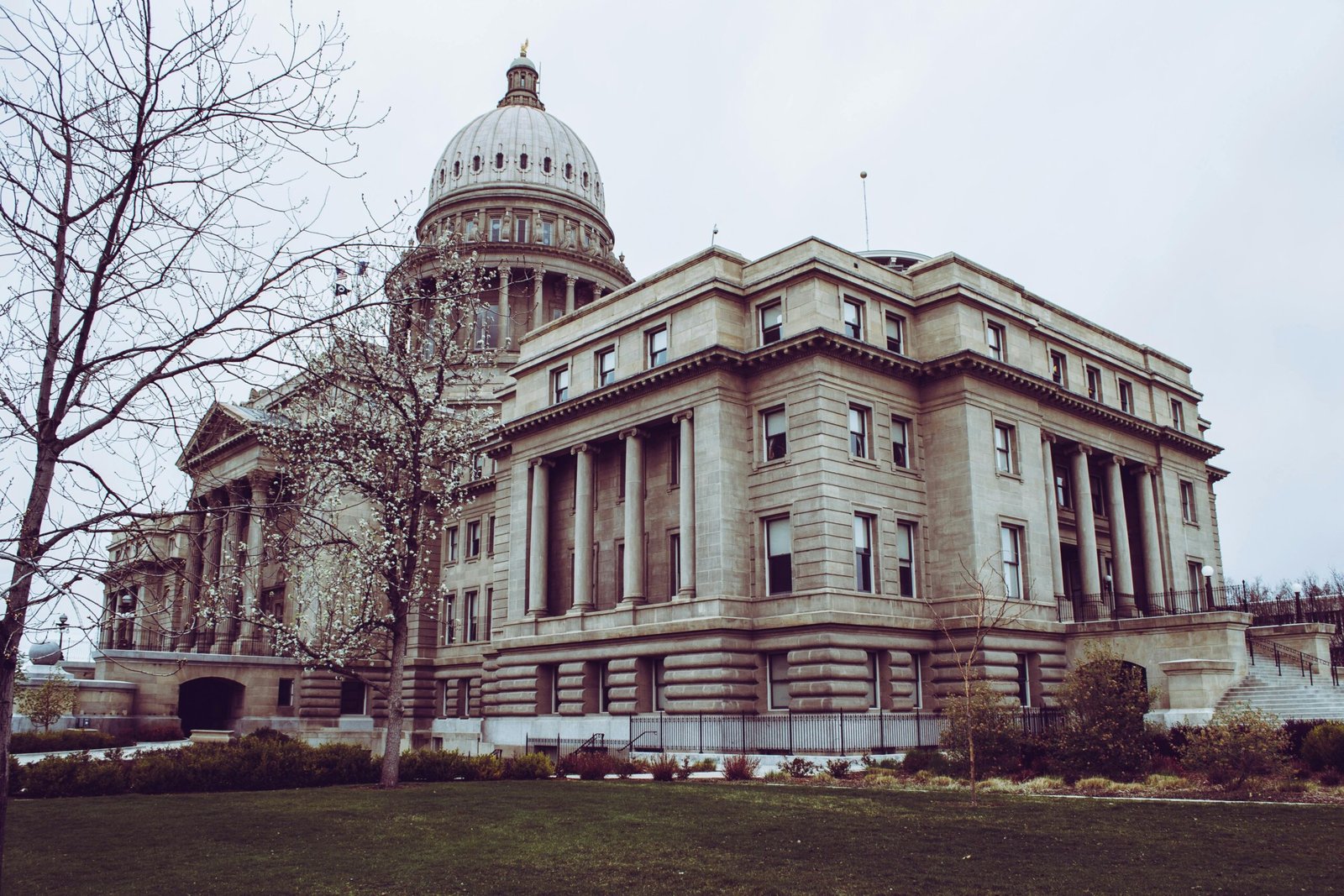 Low angle view of a historic capitol building with a dome, columns, and surrounding trees.